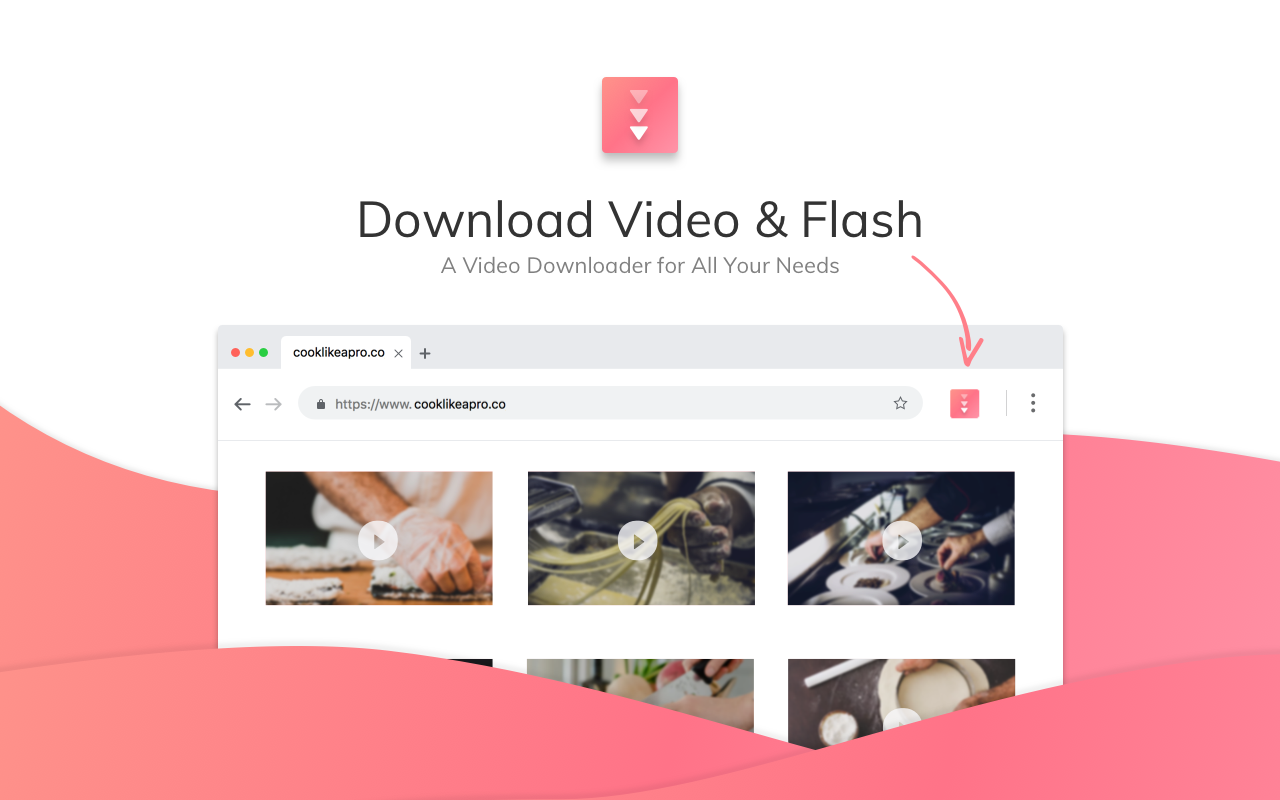 download flash video from website mac free